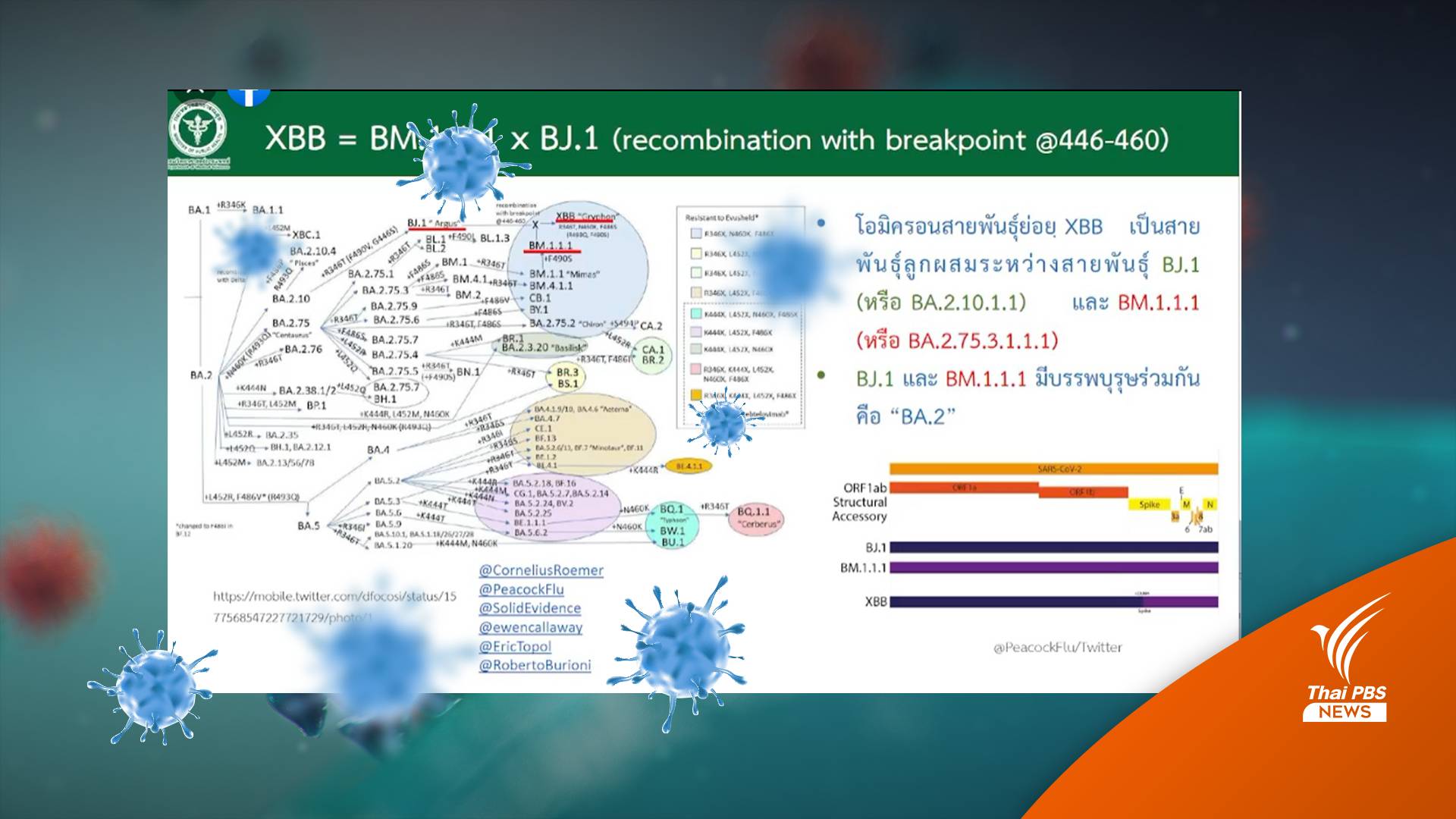ด่วน! พบโควิดสายพันธุ์ XBB-BF.7 ในไทยรวม 4 คน