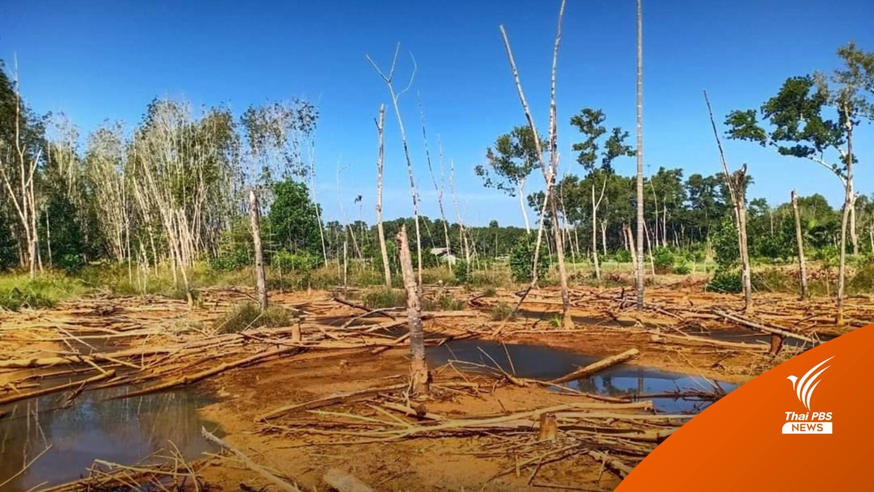สืบพยานนัดแรก "ชาวบ้านหนองพะวา" ฟ้อง "วิน โพรเสสฯ" ก่อมลพิษ