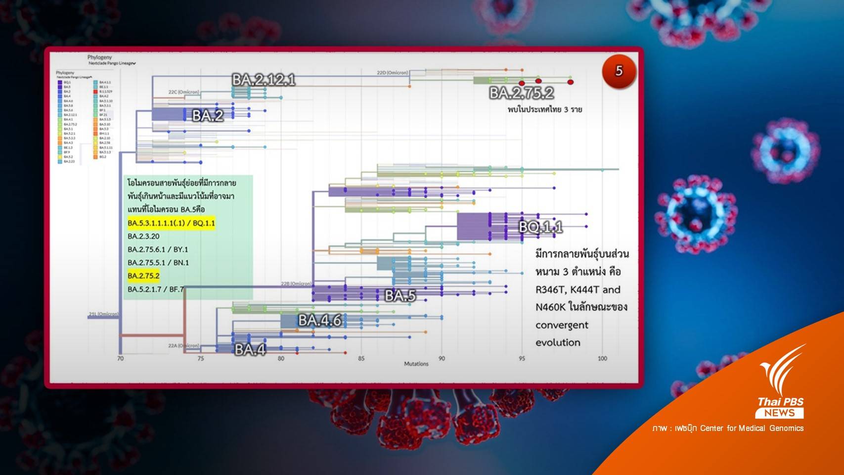 ศูนย์จีโนมฯ เผยไทยพบ "โอมิครอน BA.2.75.2" แล้ว 3 คน 
