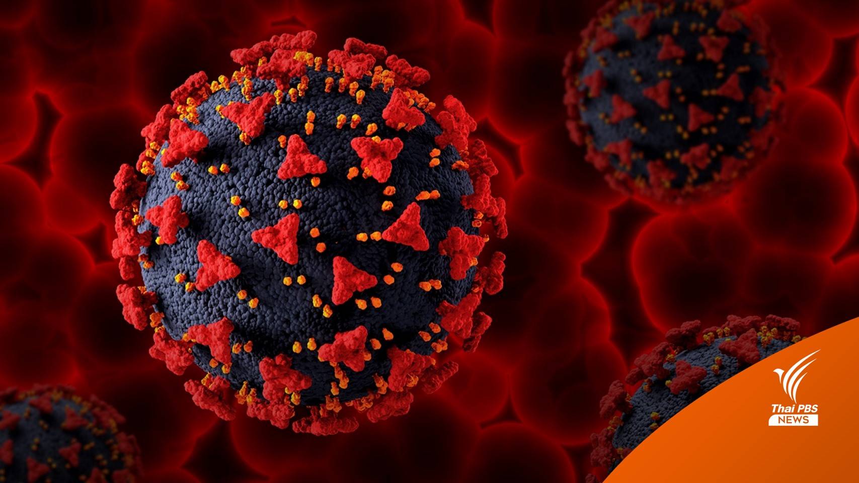 กรมวิทย์ฯ ยืนยันยังไม่พบโอมิครอน "BQ.1.1 และ XBB" ในไทย