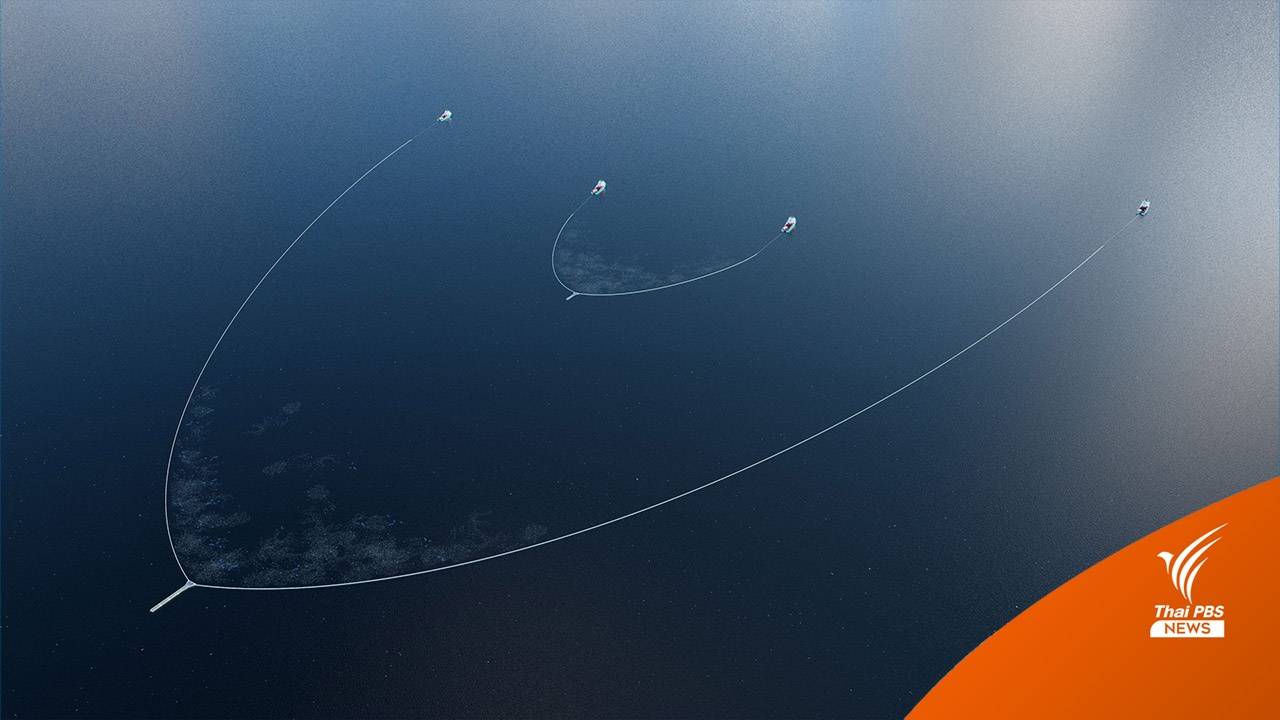โครงการเก็บขยะในทะเล The Ocean Cleanup อาจส่งผลลบต่อสิ่งแวดล้อม ?