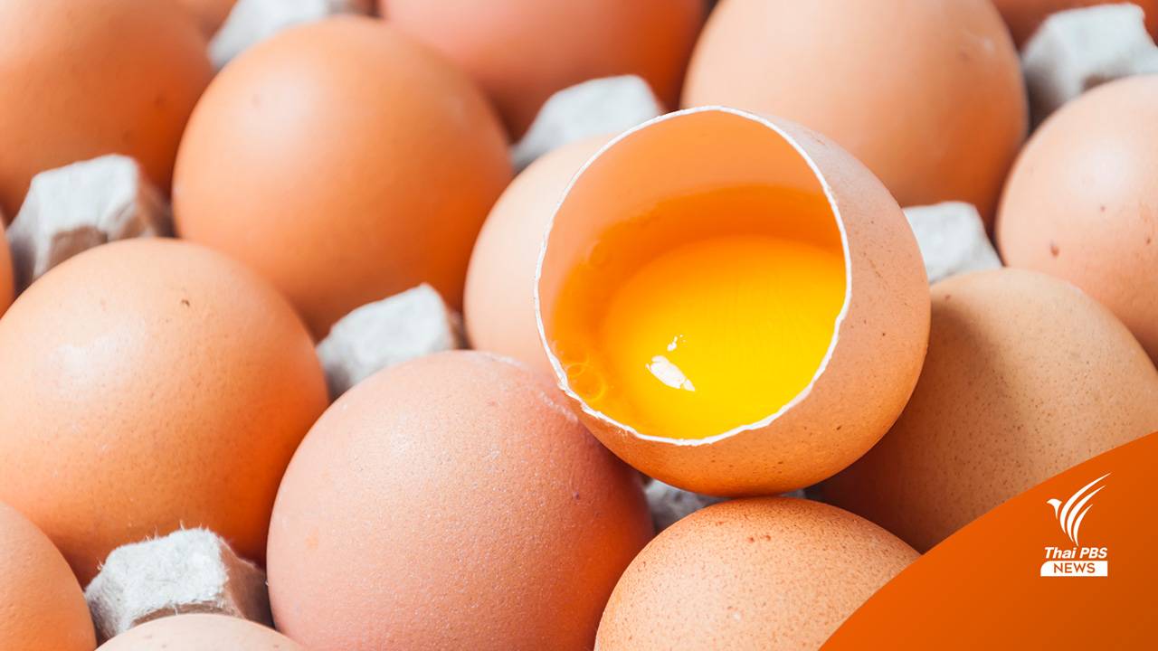 นักวิจัยญี่ปุ่นดัดแปลงพันธุกรรมไข่ไก่ ให้ปลอดภัยสำหรับผู้ที่แพ้ไข่ขาว