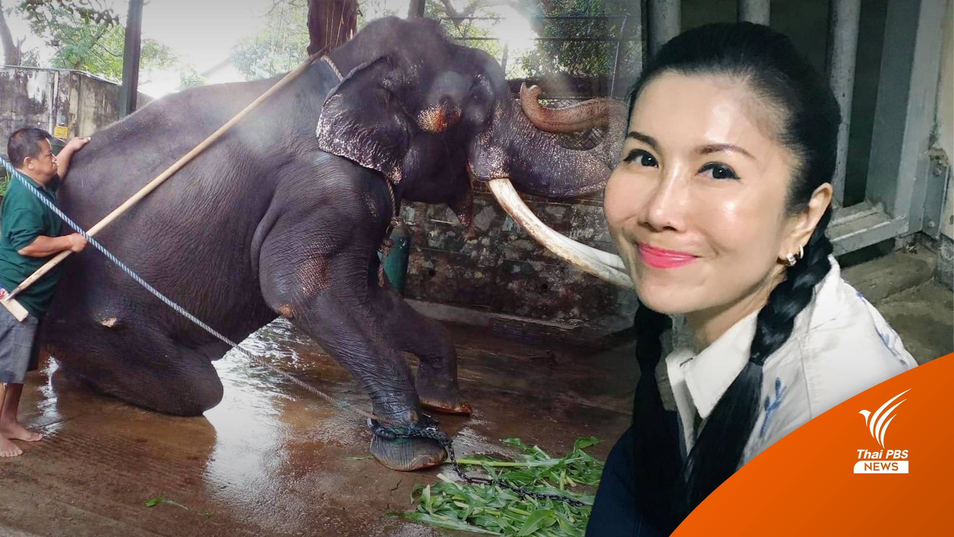 "กัญจนา" เผยเบื้องหลังช่วย "พลายศักดิ์สุรินทร์" กลับไทย