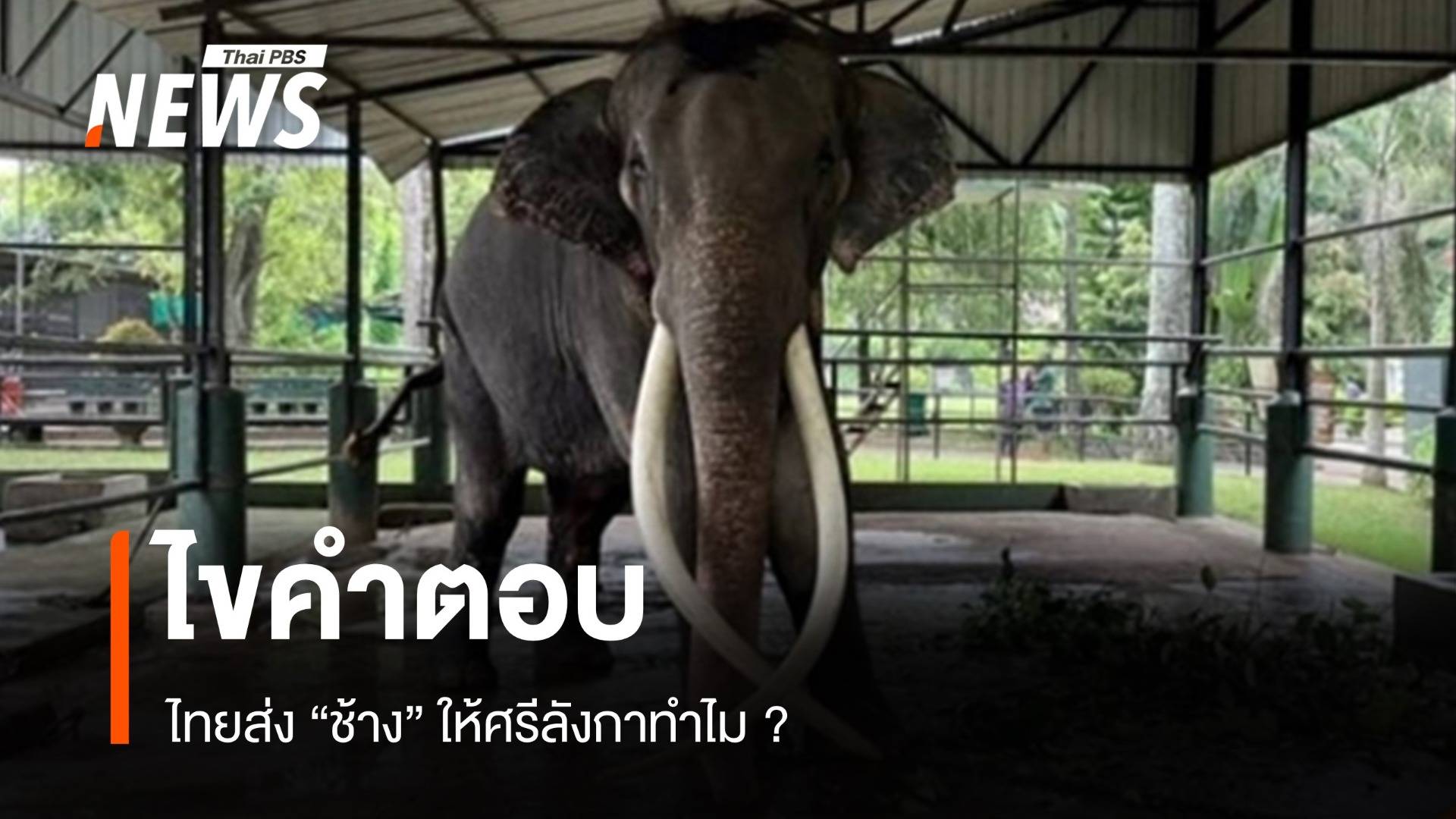 ไขคำตอบ! ไทยส่งช้างให้ศรีลังกาทำไม?  