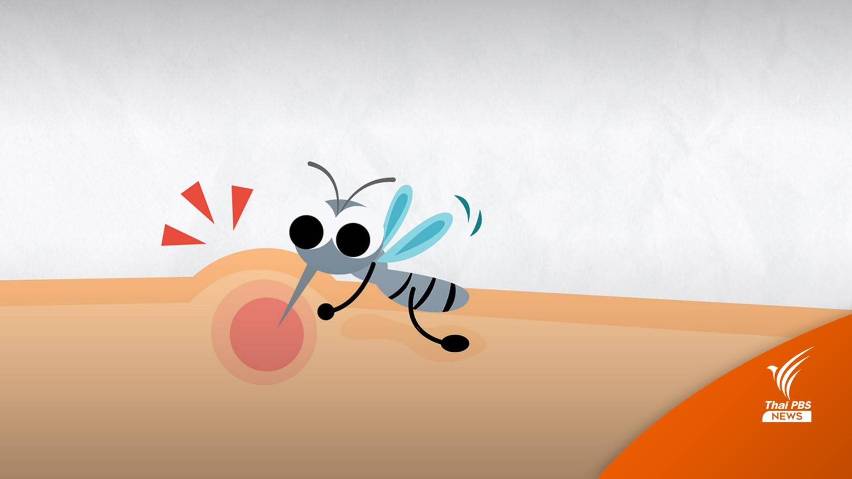 เปิด 13 เรื่อง น่ารู้เกี่ยวกับ "ยุง" วายร้ายตัวจิ๋ว
