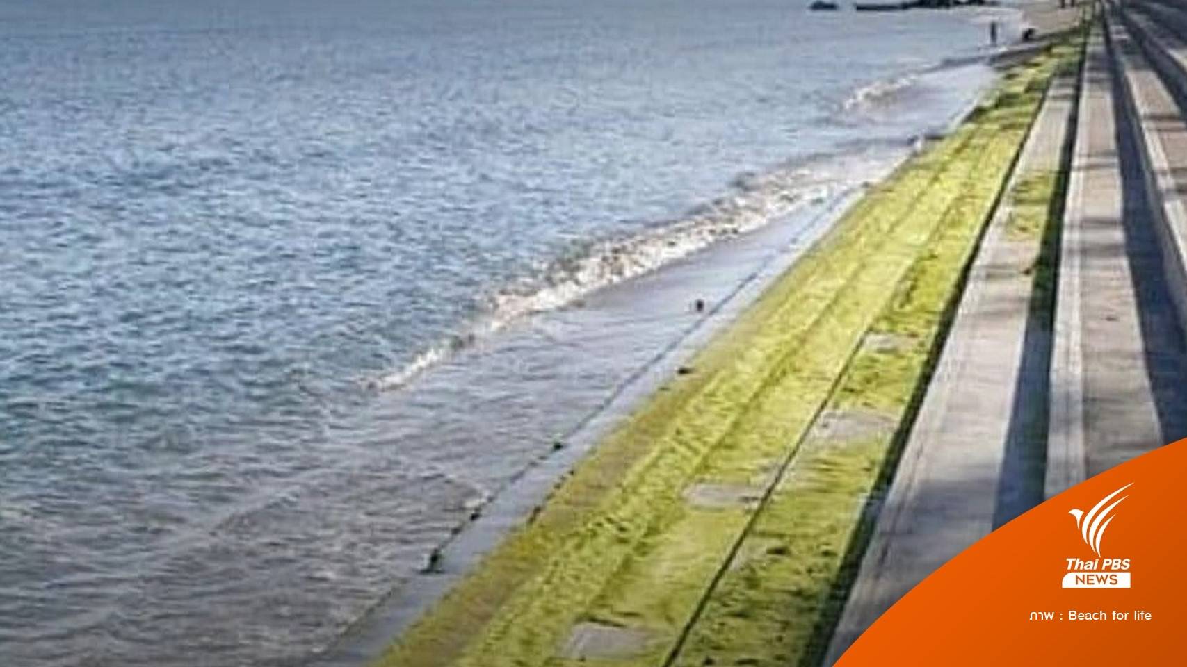 มีผลบังคับใช้! กำแพงกันคลื่นทุกขนาดต้องทำ EIA