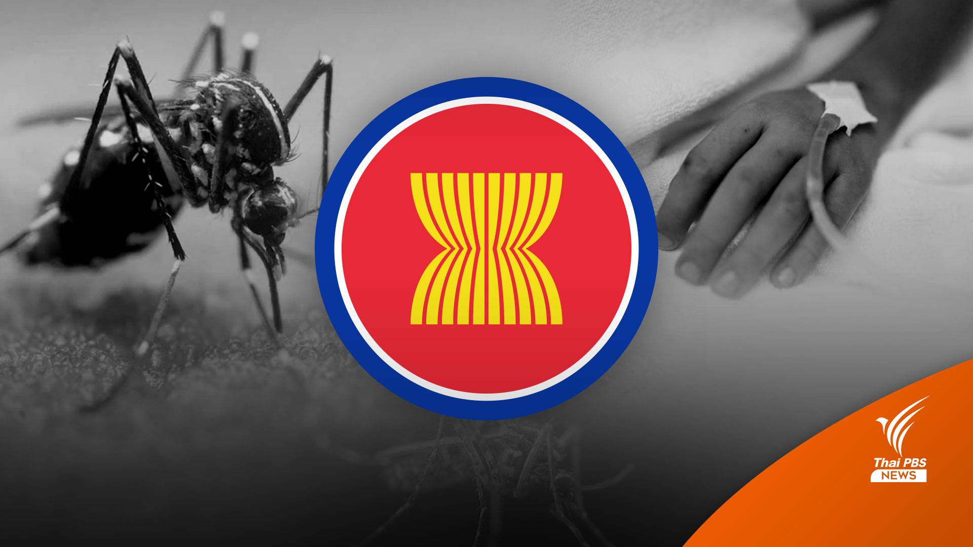 15 มิถุนายน วันไข้เลือดออกอาเซียน