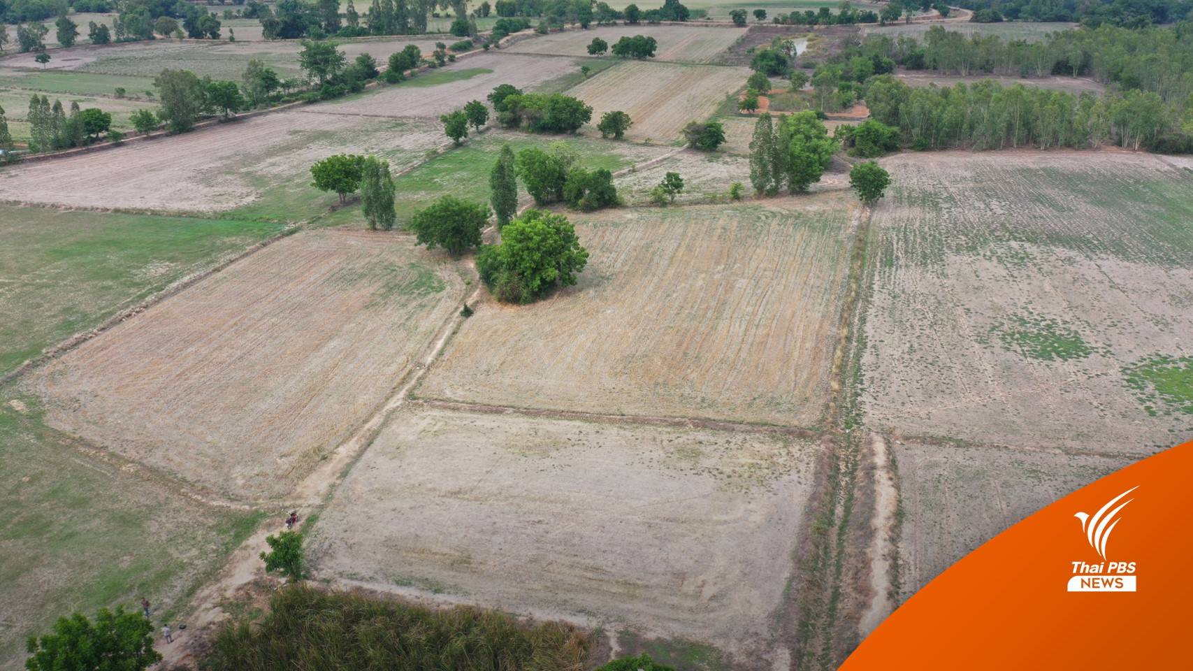 รับมือฝนทิ้งช่วง 1 เดือน 4 เขื่อนลุ่มเจ้าพระยาน้ำเหลือ 45%