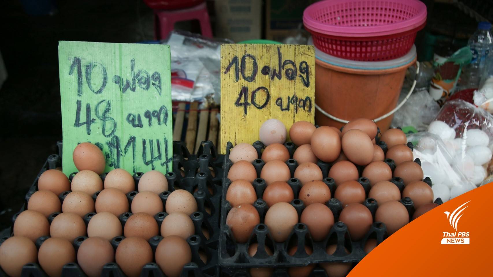ใครบ้าง? กิน "ไข่ไก่แพง" จ่อฟองละ 4 บาท-ร้านข้าวตามสั่งไข่ดาวพุ่ง 10 บาท