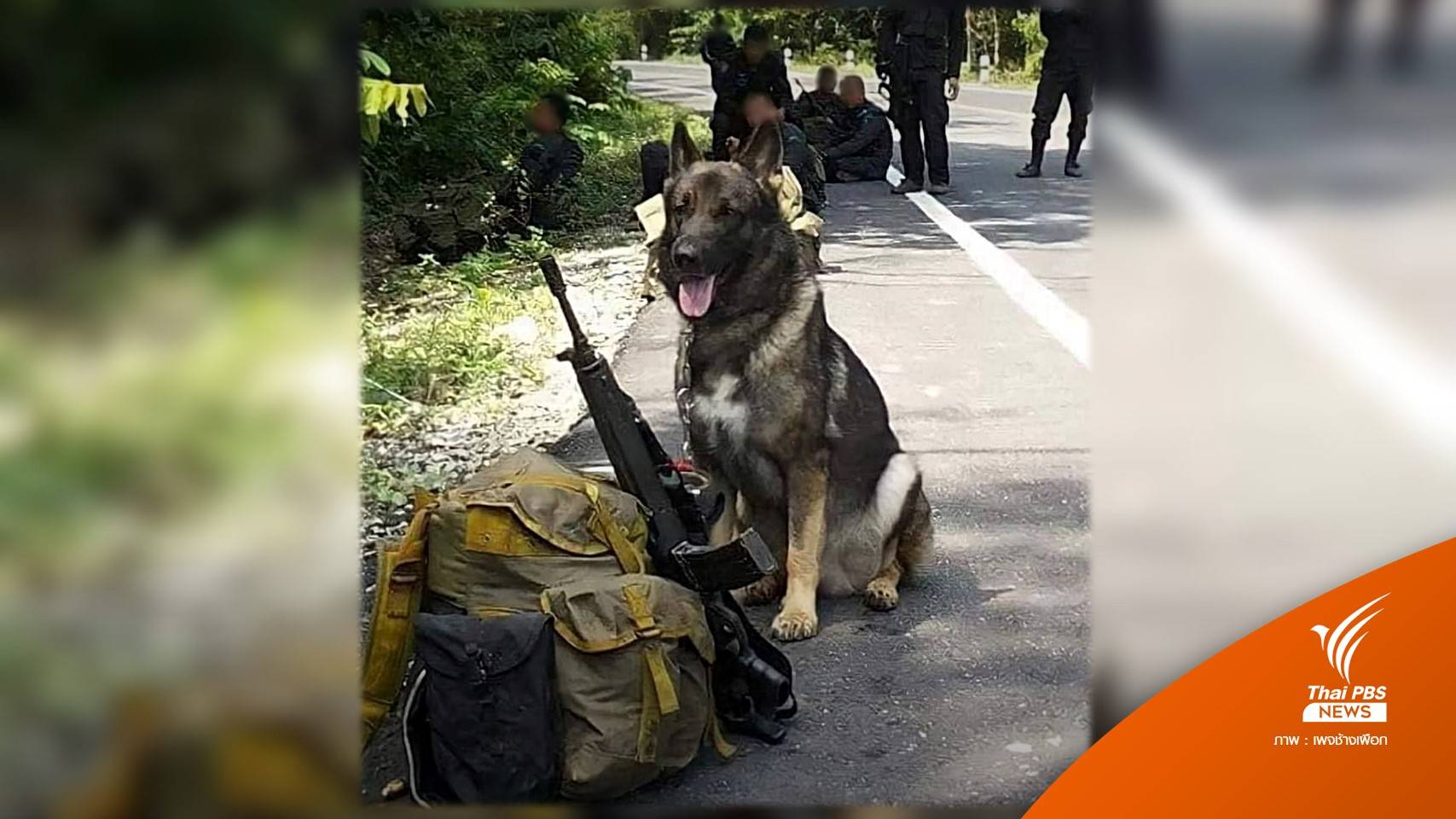 โซเชียลส่ง "ยอสทาวน์" กลับดาวหมา ร่วมภารกิจชายแดนใต้ 8 ปี