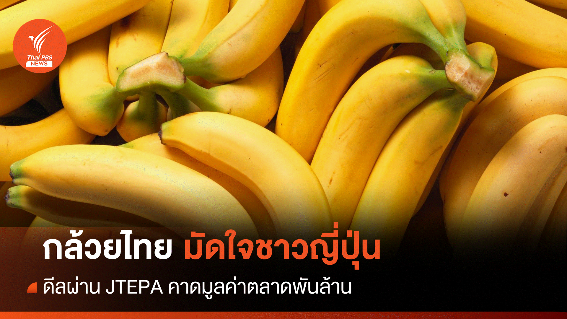 กล้วยไทยมัดใจ "ชาวญี่ปุ่น" สร้างมูลค่า 1,000 ล้าน