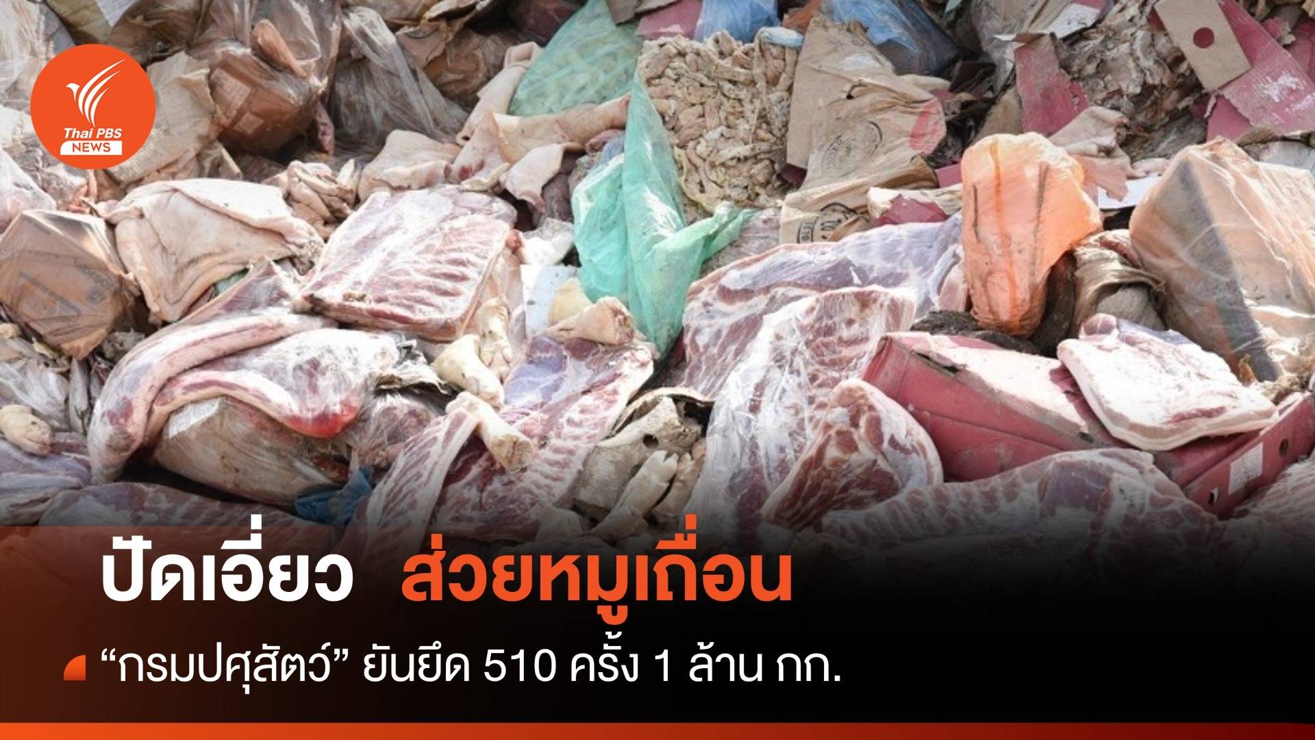 ปศุสัตว์ ปัดเอี่ยว "ส่วยหมูเถื่อน" ยันปราบปรามยึดซาก 1 ล้านกก.