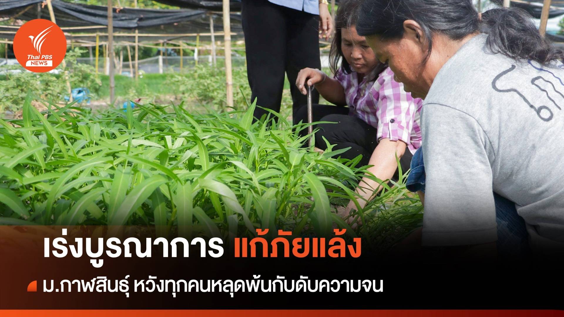 ม.กาฬสินธุ์ สถาบันการศึกษารับใช้ชุมชน เร่งบูรณาการแก้ภัยแล้ง