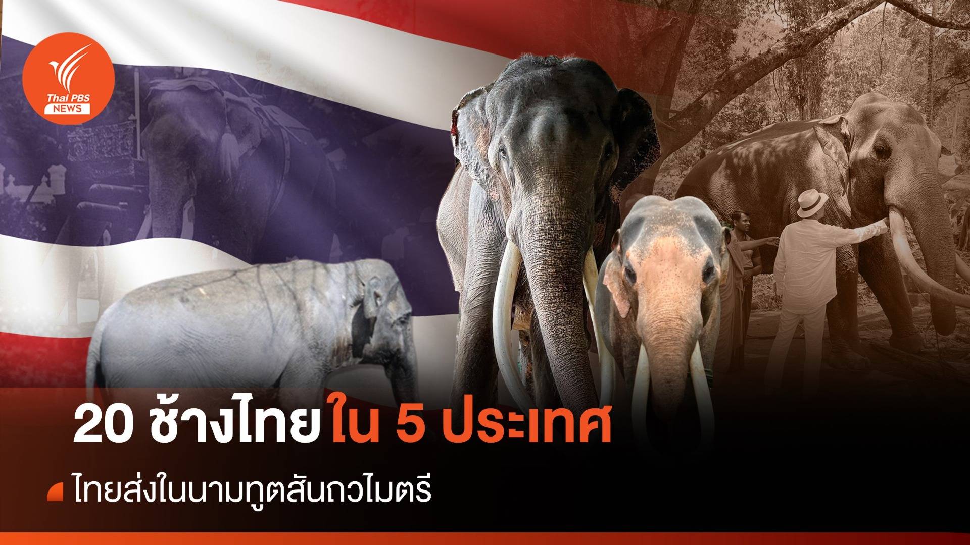 ไทยส่ง "ช้างไทย" ทูตสันถวไมตรี 20 เชือก