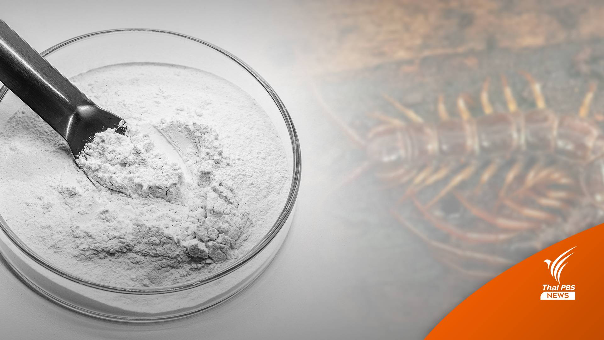 ไขคำตอบ! "ไซยาไนด์" ใช้ฆ่าสัตว์เลื้อยคลานมีพิษได้หรือไม่