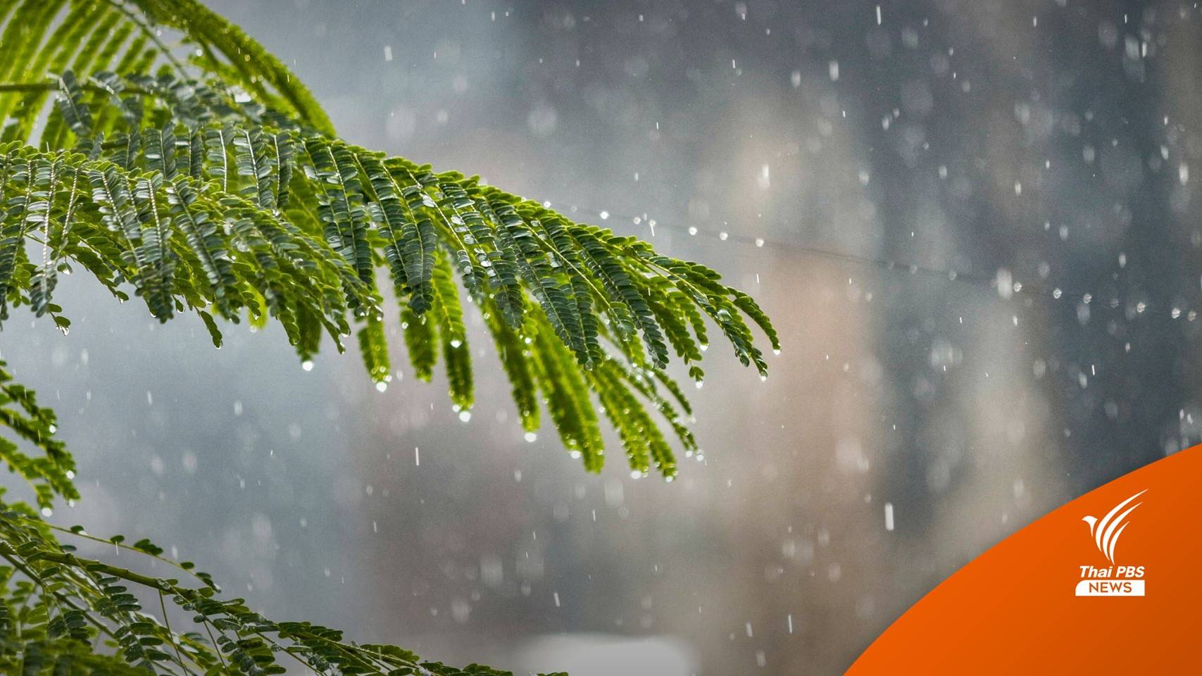 สภาพอากาศวันนี้ ระวังพายุฤดูร้อน-ฝนฟ้าคะนองทั่วประเทศ