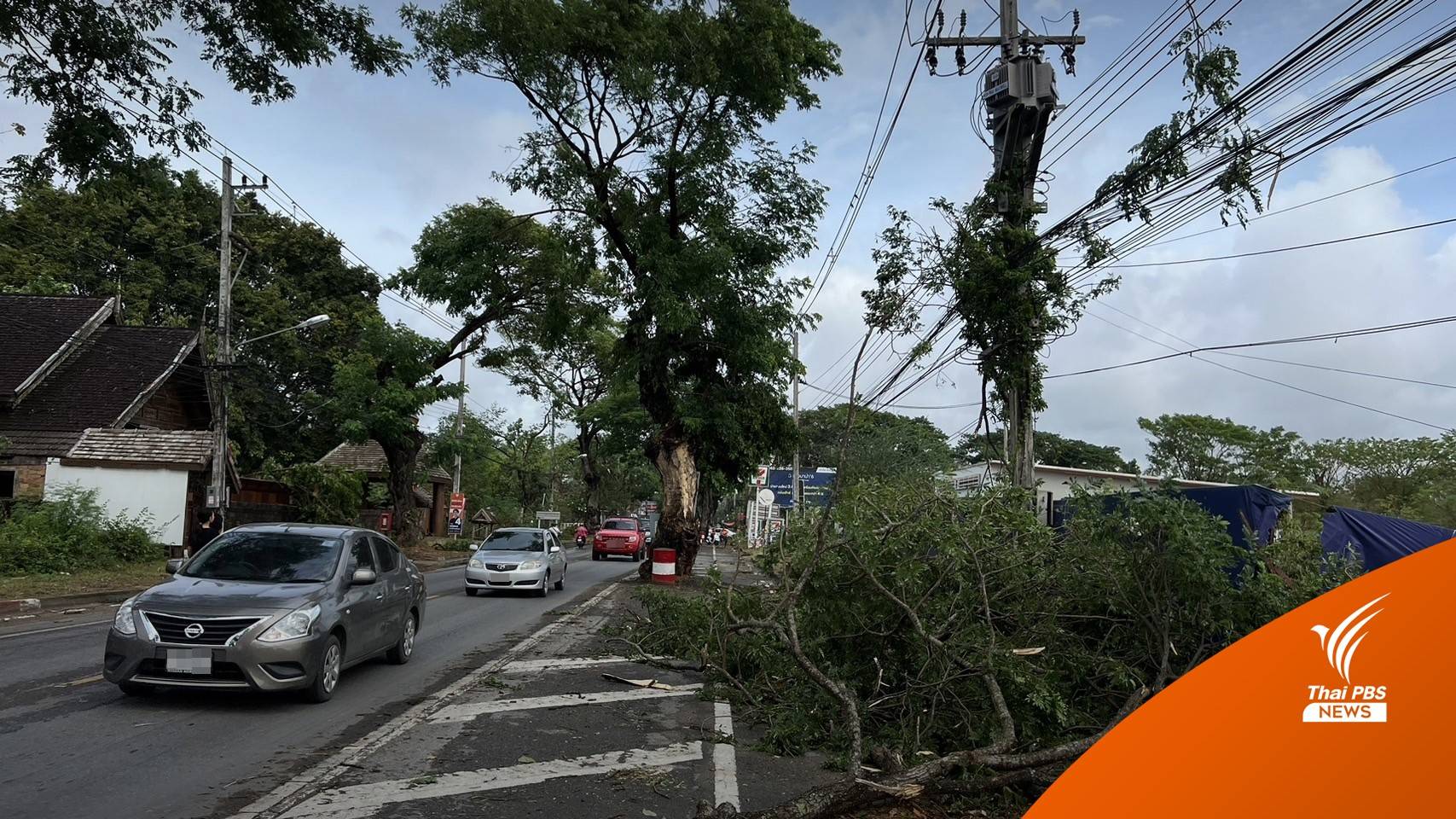 พายุฤดูร้อนถล่มเชียงใหม่ ต้นไม้หักโค่น สันกำแพงไฟฟ้าดับนานกว่า 12 ชั่วโมง