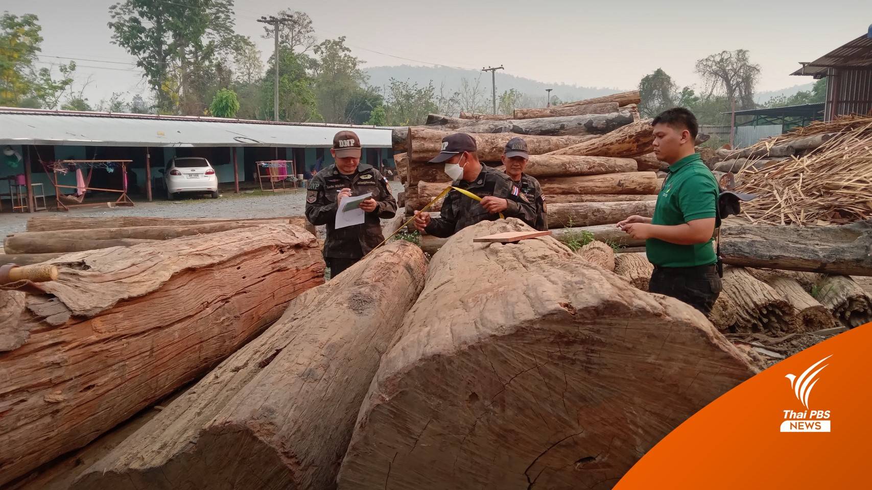 แกะรอย 1 เดือนติด GPS "ไม้ประดู่" ลอบตัดจากป่าเหนือซุกโกดัง