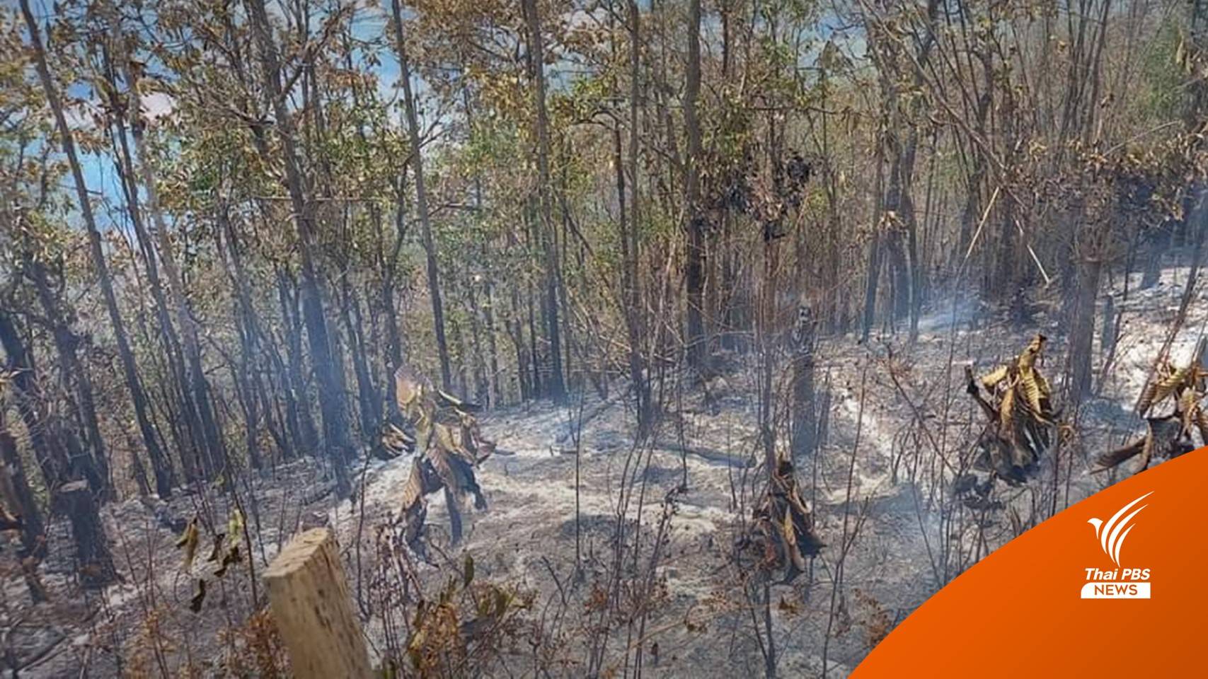 อาสาดับไฟป่า เสียชีวิตคนที่ 2 ในรอบ 1 สัปดาห์