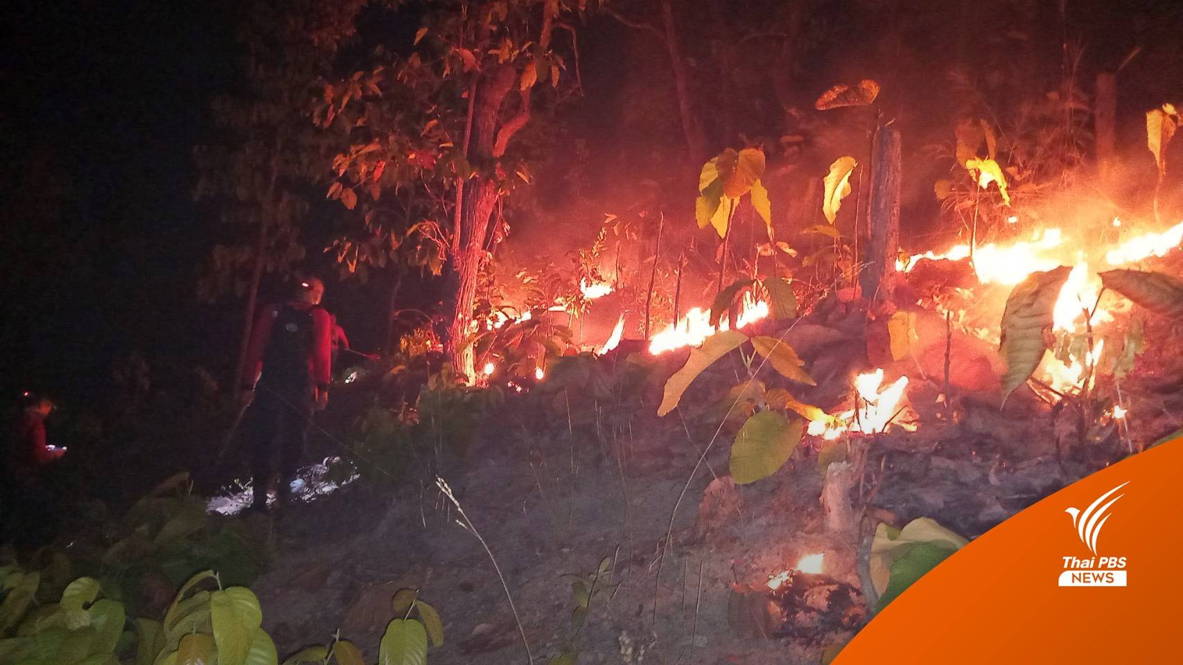 ยังคงมีการลอบเผาป่าอย่างหนัก จ.แม่ฮ่องสอน