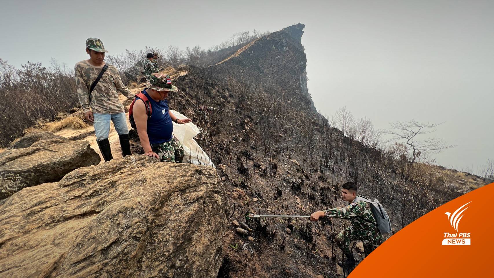 สำรวจร่องรอยความเสียหายจากไฟป่า "ภูชี้ฟ้า"