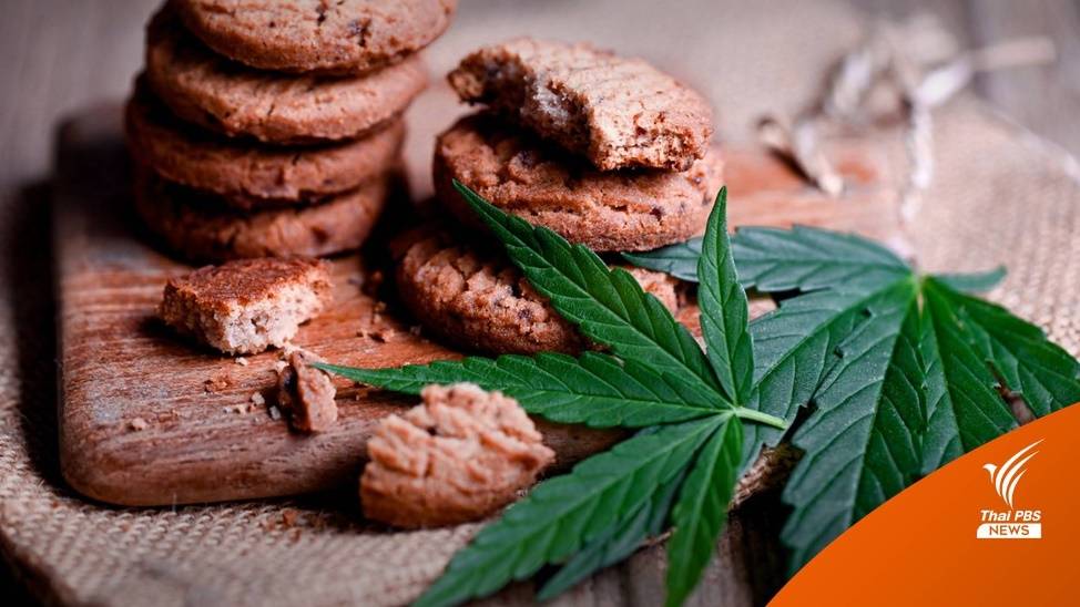 "คุกกี้ผสมกัญชา" ระบาดภาคใต้ ลอบนำเข้า-ไม่มีอย.