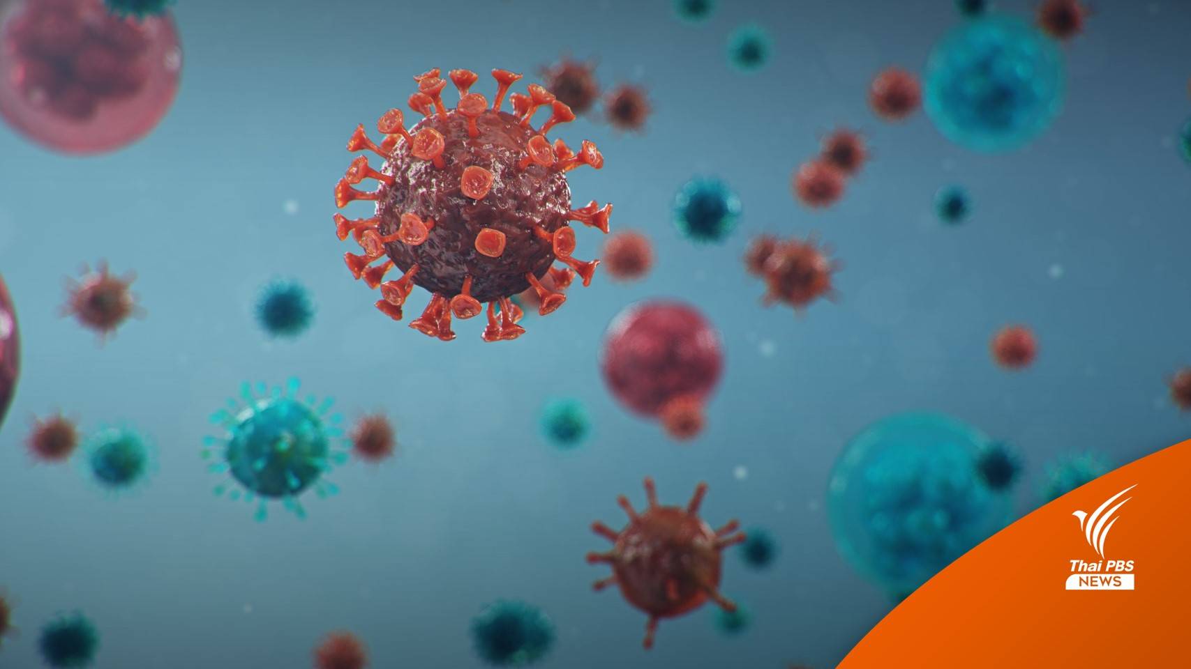 สธ. วาง 3 มาตรการป้องโควิดหลังสงกรานต์ - ไทยพบ "XBB.1.16" แล้ว 8 คน