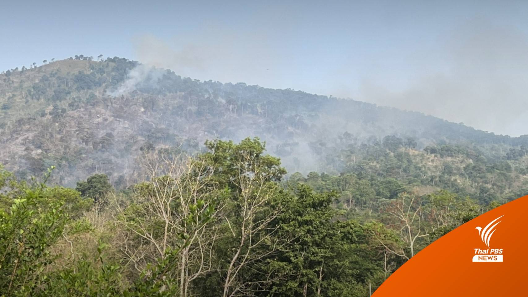 ตรึงเข้ม "เขาใหญ่" ไฟป่าลามประชิด-ห่วงปืนผูกดักสัตว์เพียบ