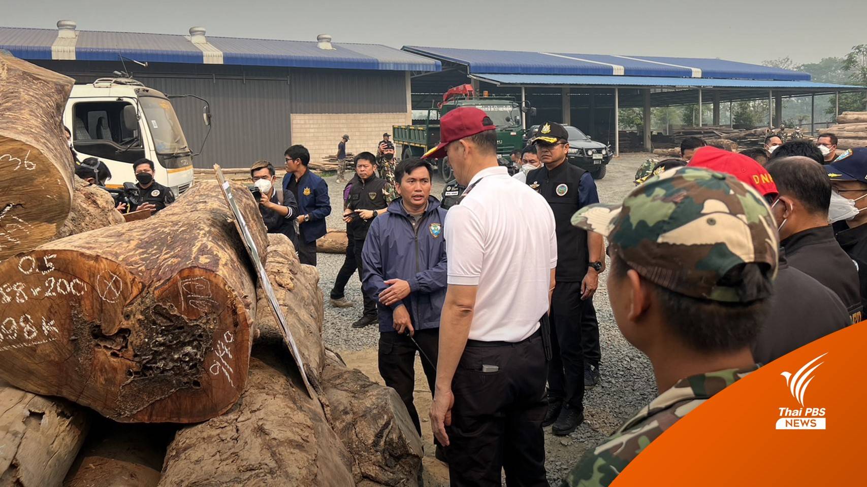 ย้ายออกจนท.หญิง "กรมป่าไม้" ชื่อโผล่หุ้นส่วนโกดังซุกไม้ประดู่
