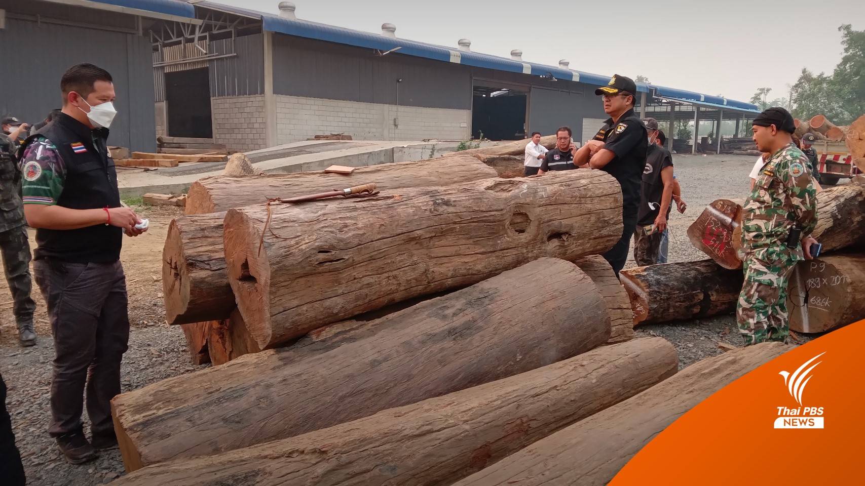 ปลัดทส.สั่งสอบเส้นทางเงิน "จนท.ป่าไม้" เอี่ยวซุกไม้ประดู่