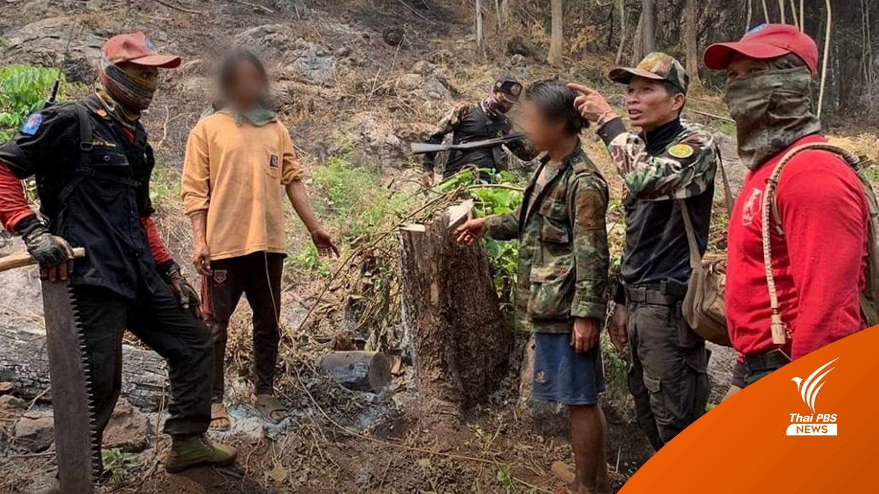 จับชาย 2 คน ลอบตัดไม้-เผาป่าปางมะผ้า แม่ฮ่องสอน