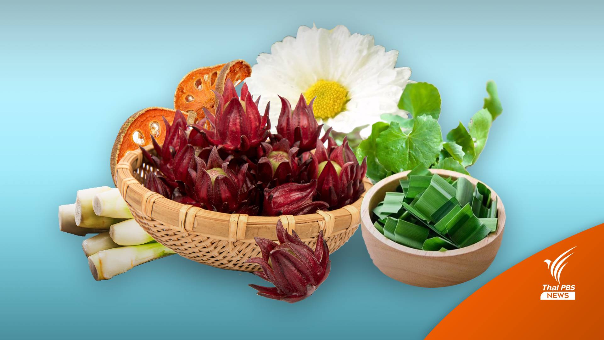 6 น้ำสมุนไพรไทย ดื่มแก้กระหายคลายร้อนให้ร่างกาย