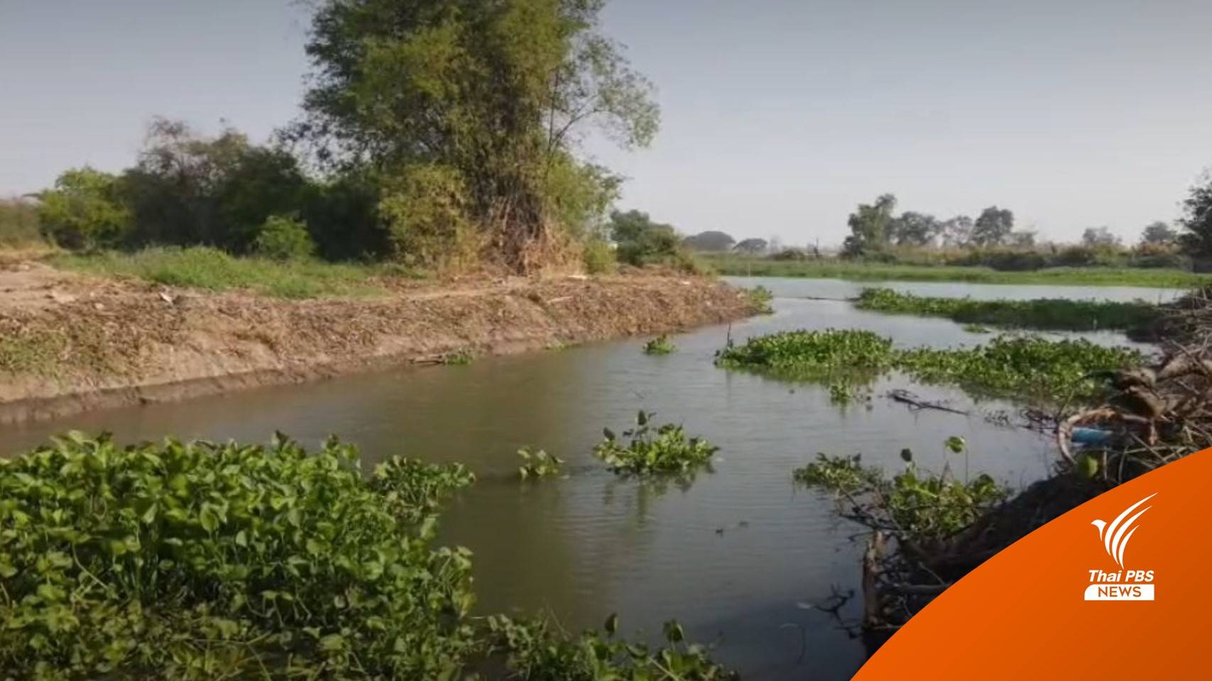 กางสถิติ 5 ปีเด็กจมน้ำเสียชีวิตช่วงหน้าร้อน 953 คน