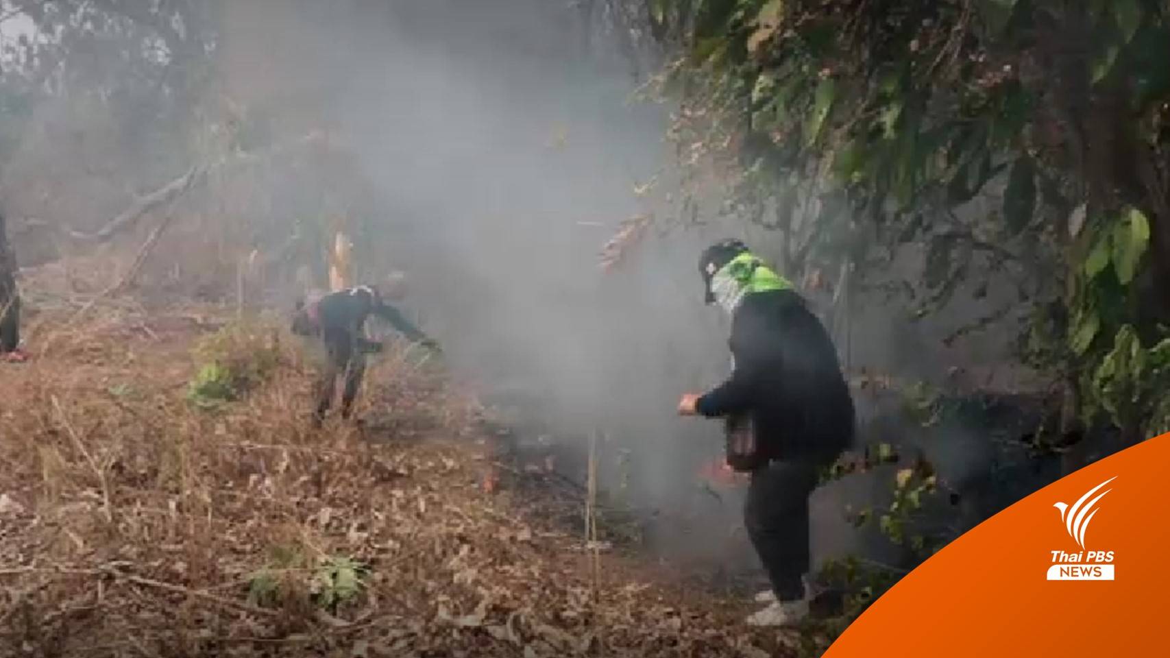 PM2.5 ภาคเหนือเกินค่ามาตรฐาน หลายหน่วยงานเร่งแก้ปัญหาไฟป่า