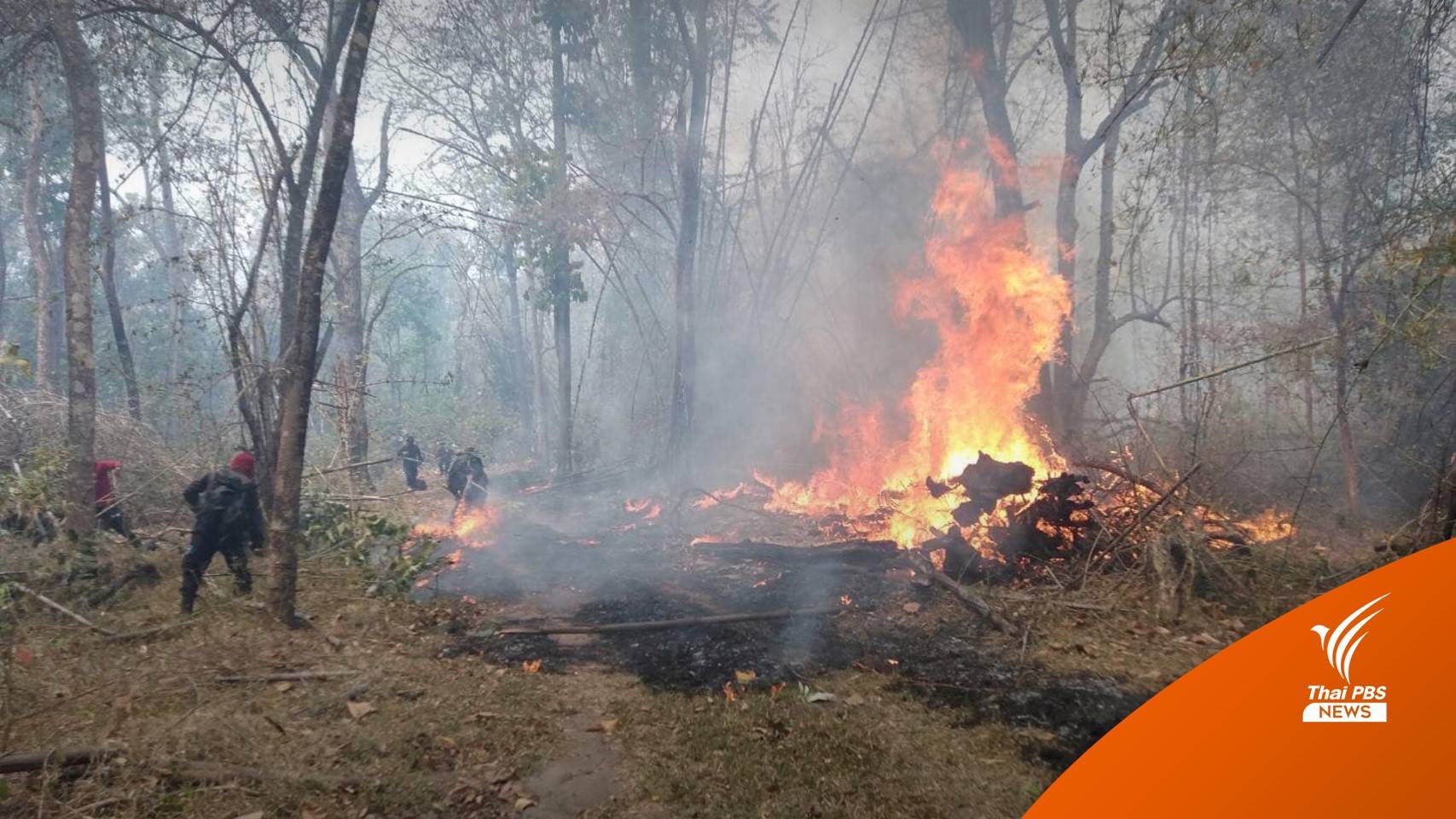 เช็ก 88 อุทยานฯ-เขตรักษาพันธุ์สัตว์ป่า ประกาศปิด-คุมพื้นที่ไฟป่า