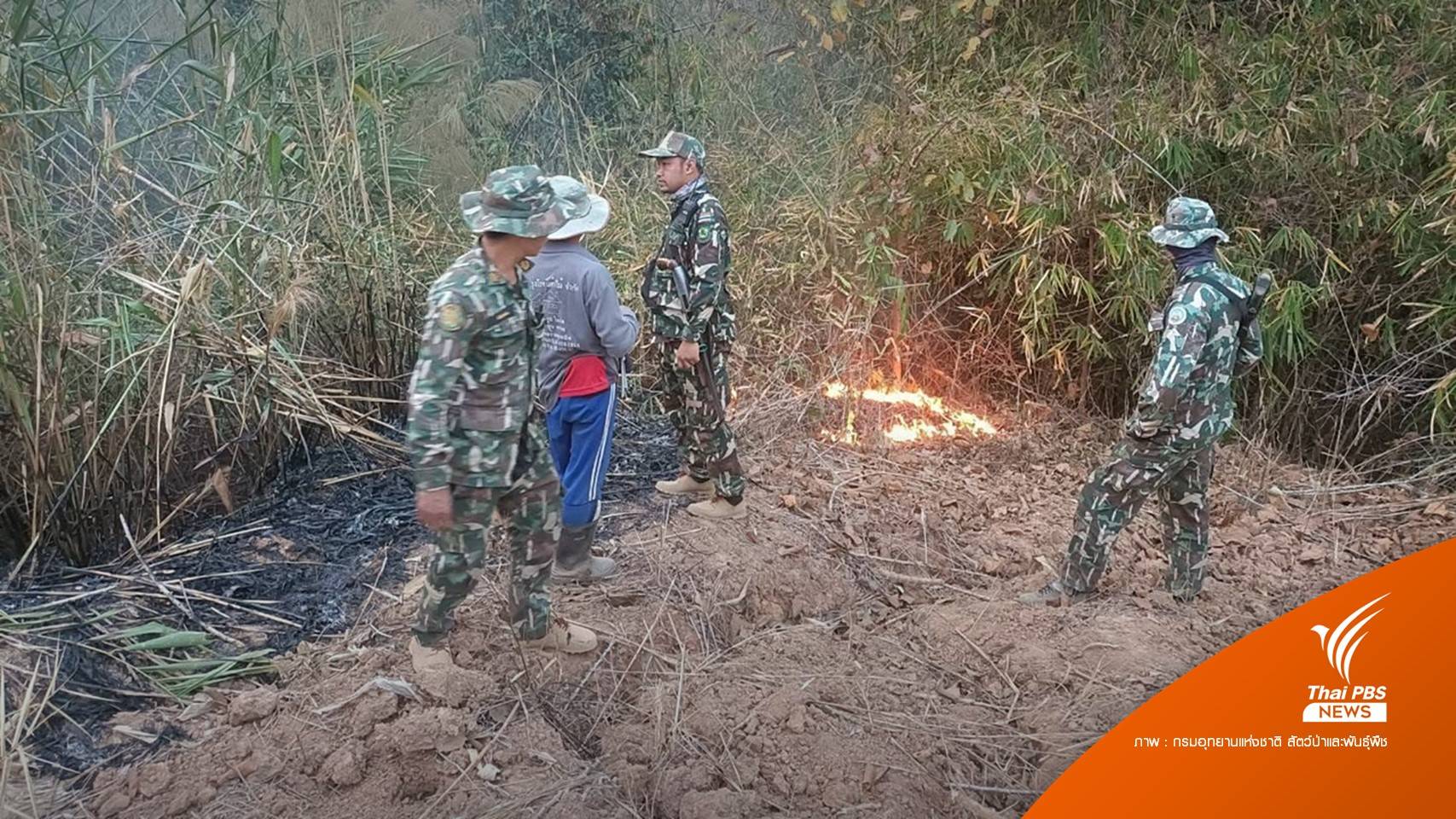 จับจริง! คนจุดไฟเผาป่าอนุรักษ์ที่พะเยา ส่งตัวดำเนินคดี