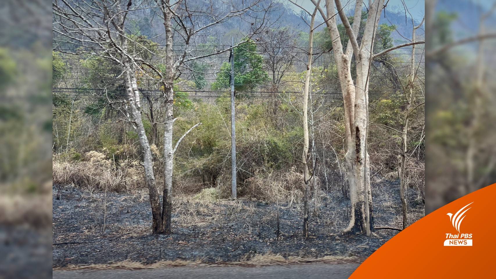 "ส่งชุดเสือไฟ" ตรึงป่าทุ่งใหญ่ฯ ฝั่งตะวันตก หลังไฟลามระลอกใหม่