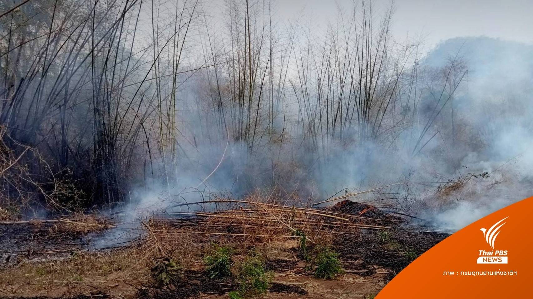 ไฟแช็คคามือ! ชาวบ้านเผาพท.เกษตรจนไฟลามป่าเขื่อนศรีนครินทร์