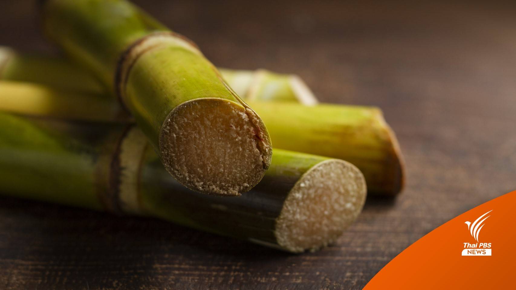 ครม.เคาะราคาอ้อยขั้นต้น ปี 65/66 ตันละ 1,080 บาท