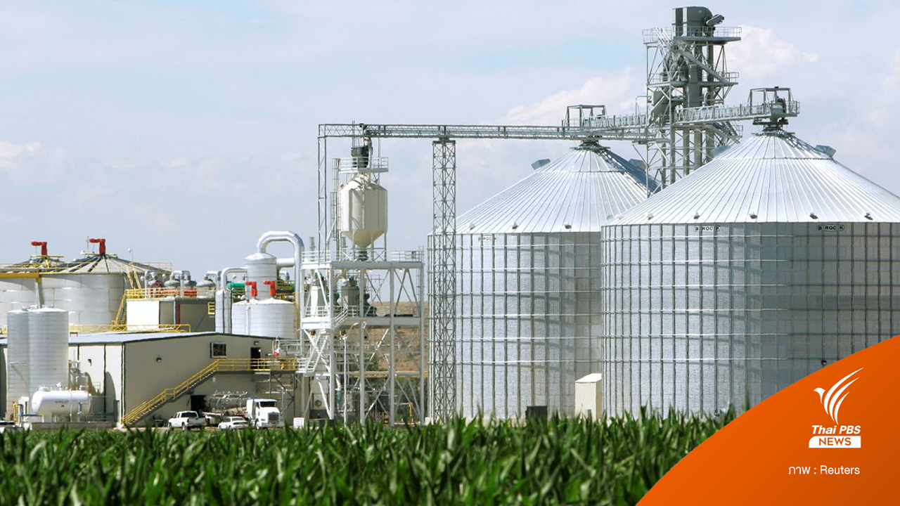 คดีพลิก? น้ำมันทดแทนจากพืช ก่อให้เกิดแก๊สเรือนกระจกมากกว่าน้ำมันทั่วไป