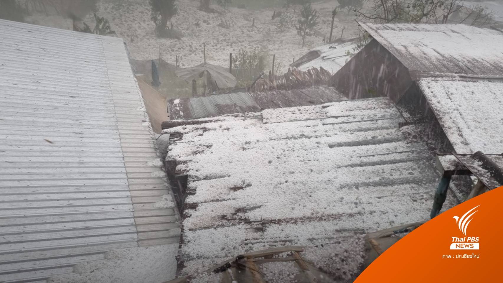 ขาวโพลน! ฝนกระหน่ำ-พายุลูกเห็บถล่มเชียงใหม่