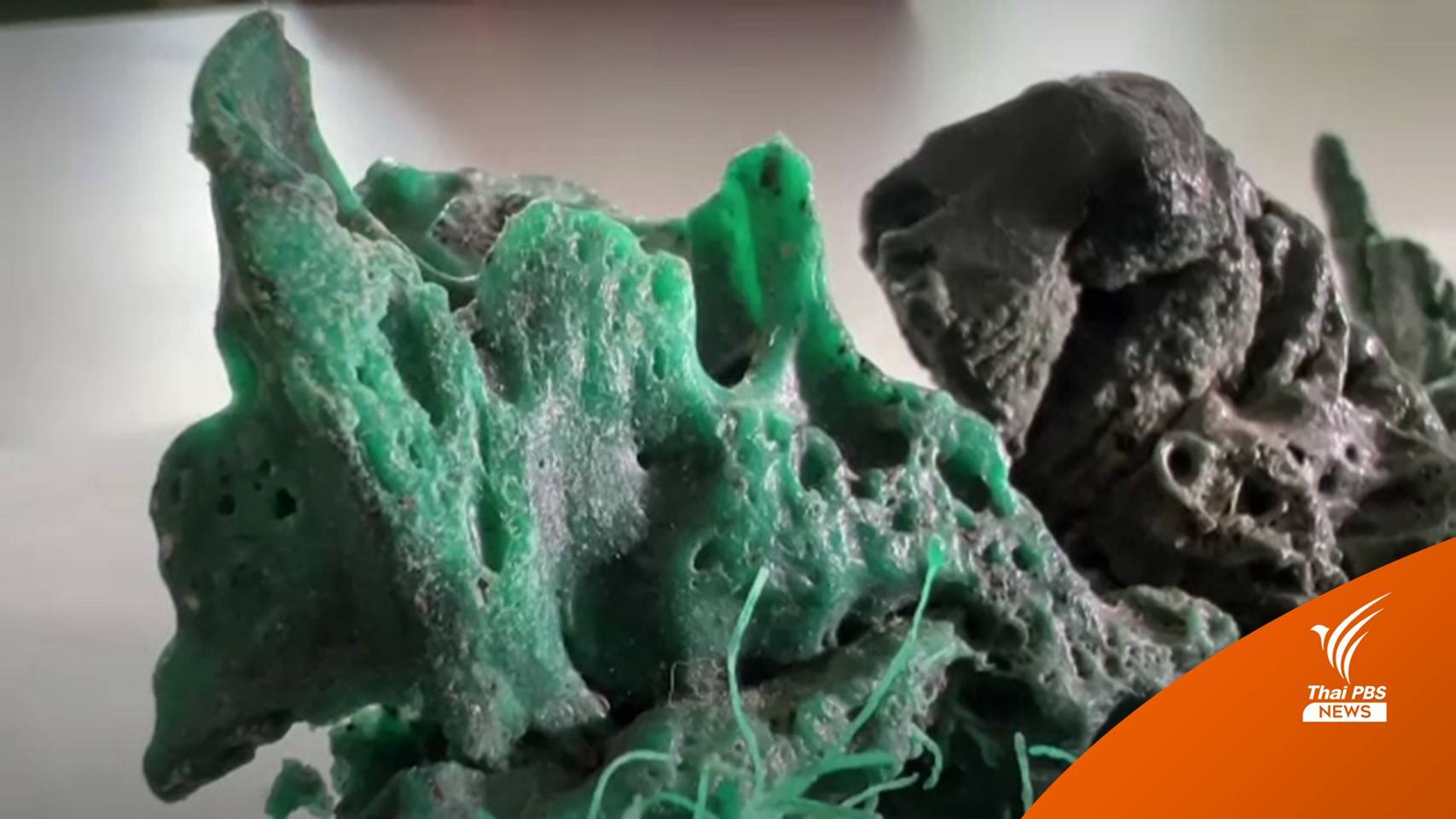 บราซิลพบ "หินพลาสติก" สะท้อนมลภาวะฝีมือมนุษย์