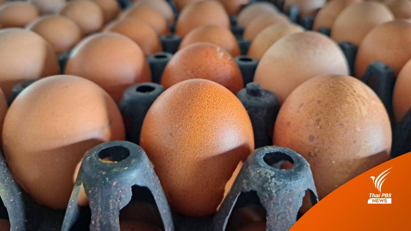 "ไข่ไก่" ขึ้นราคารอบ 2 อีก 20 สตางค์ต่อฟองมีผล 23 มี.ค.