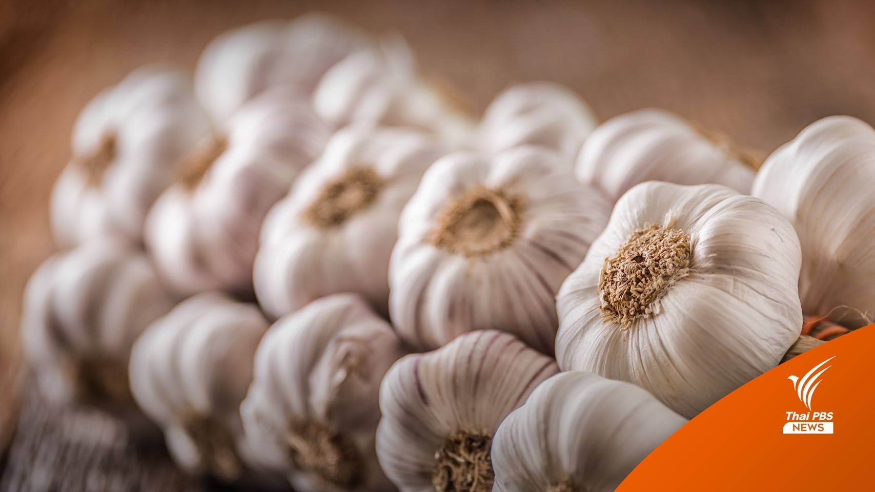 "กระเทียมไทย" แพงกว่า "กระเทียมจีน"