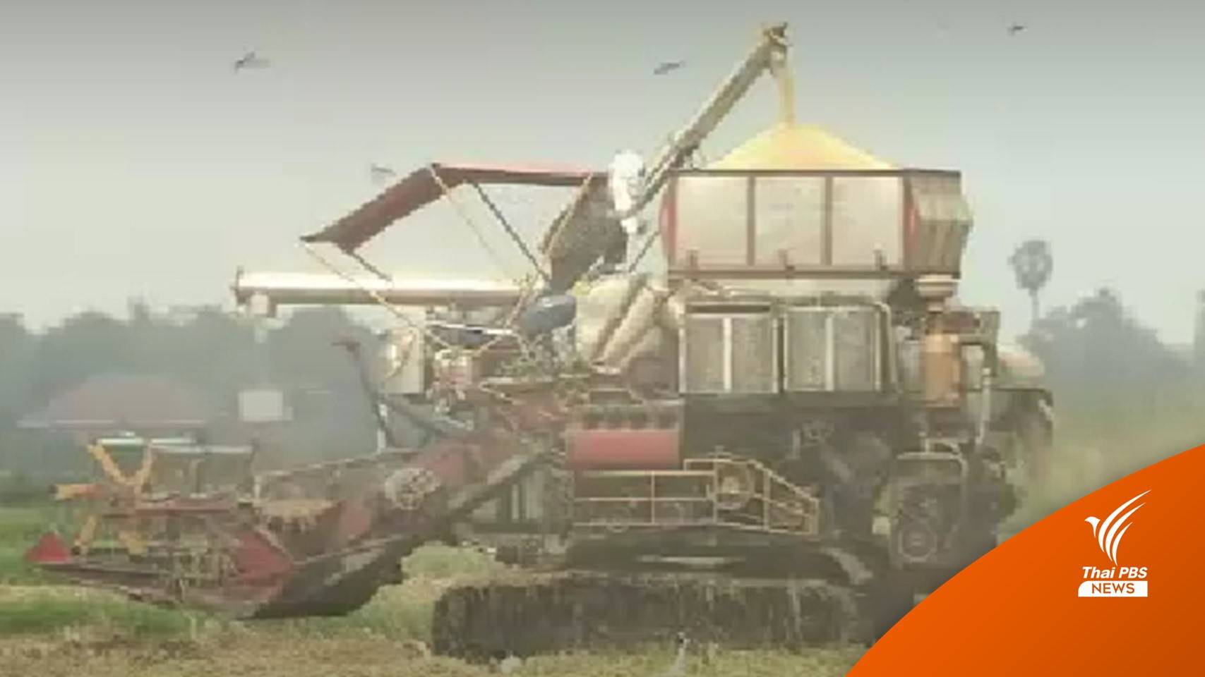 ชาวนาเรียกร้องรัฐบาลชุดใหม่แก้หนี้ครัวเรือนจริงจัง