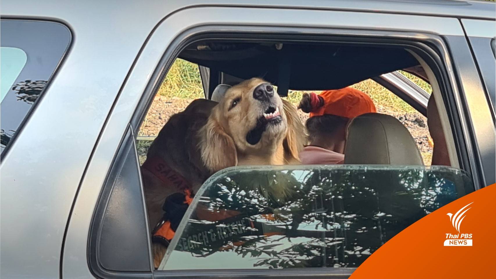 จนท.พร้อม "เจ้าตูบ" ระดมค้นหาเด็ก 8 เดือนหายปริศนา