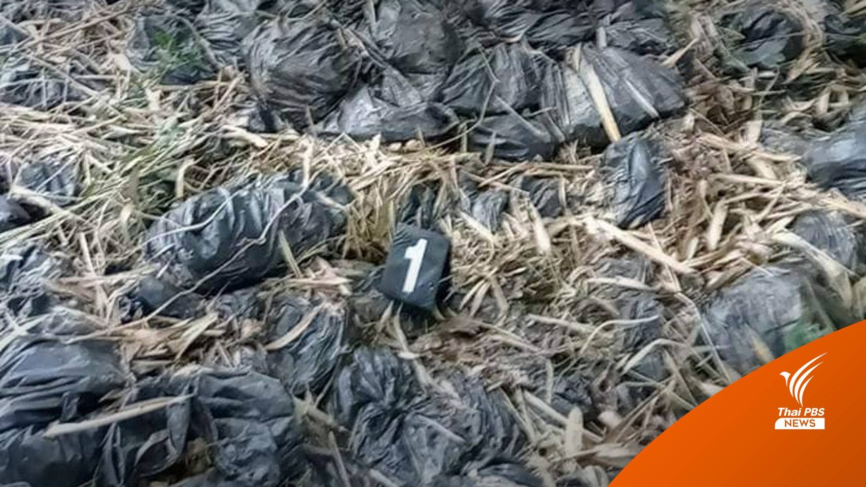 ฆ่ายกครัว 5 ชาวม้ง ทิ้งไร่ริมห้วย จ.ตาก