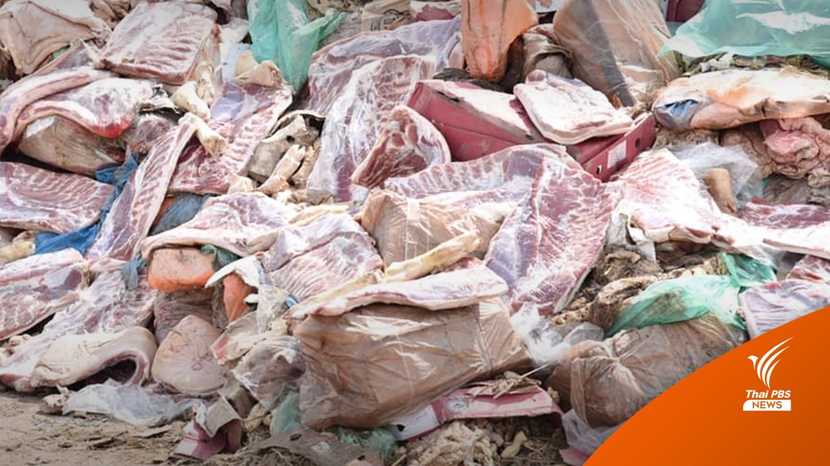 ร้องรัฐสกัด “หมูเถื่อน” ทะลักกดราคาหมูไทยถึงขั้นขาดทุน