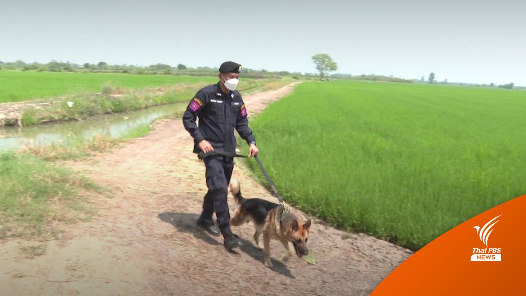 ส่ง K-9 ทีมเรือค้น 5 จุดไม่พบร่องรอยเด็ก 8 เดือนหาย
