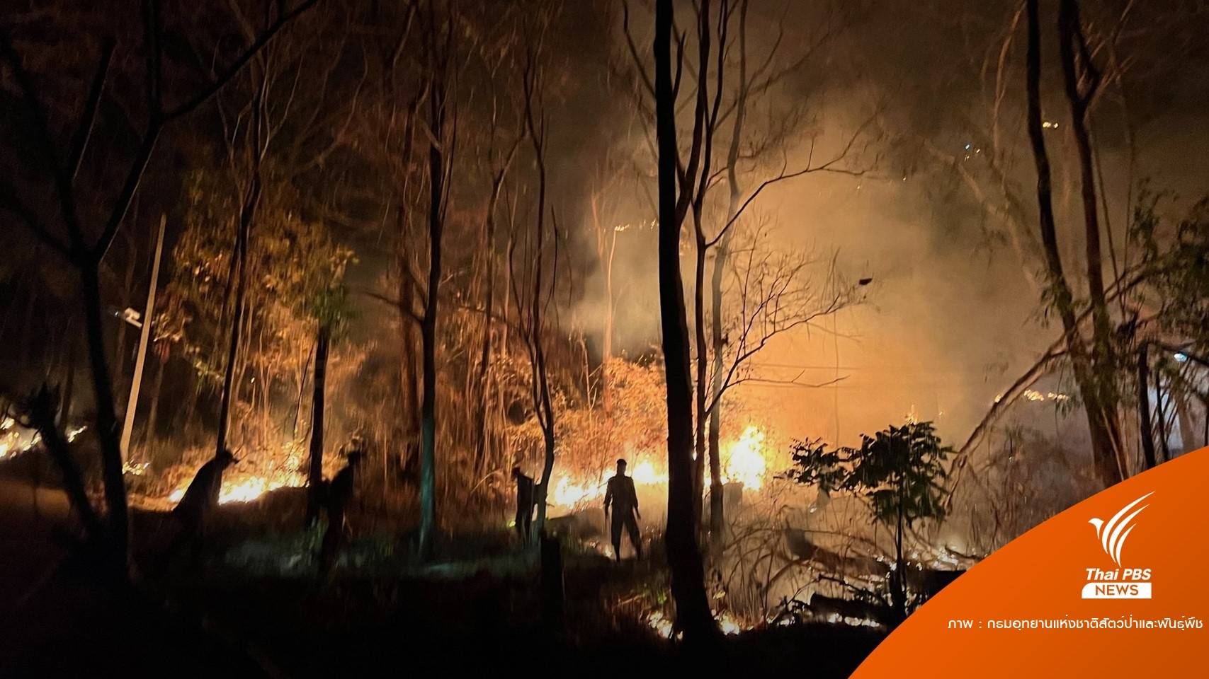 สั่ง "งดเผาทุกกรณี" 89 วันลดฝุ่นพิษถึง 30 เม.ย.ฝ่าฝืนโทษหนัก